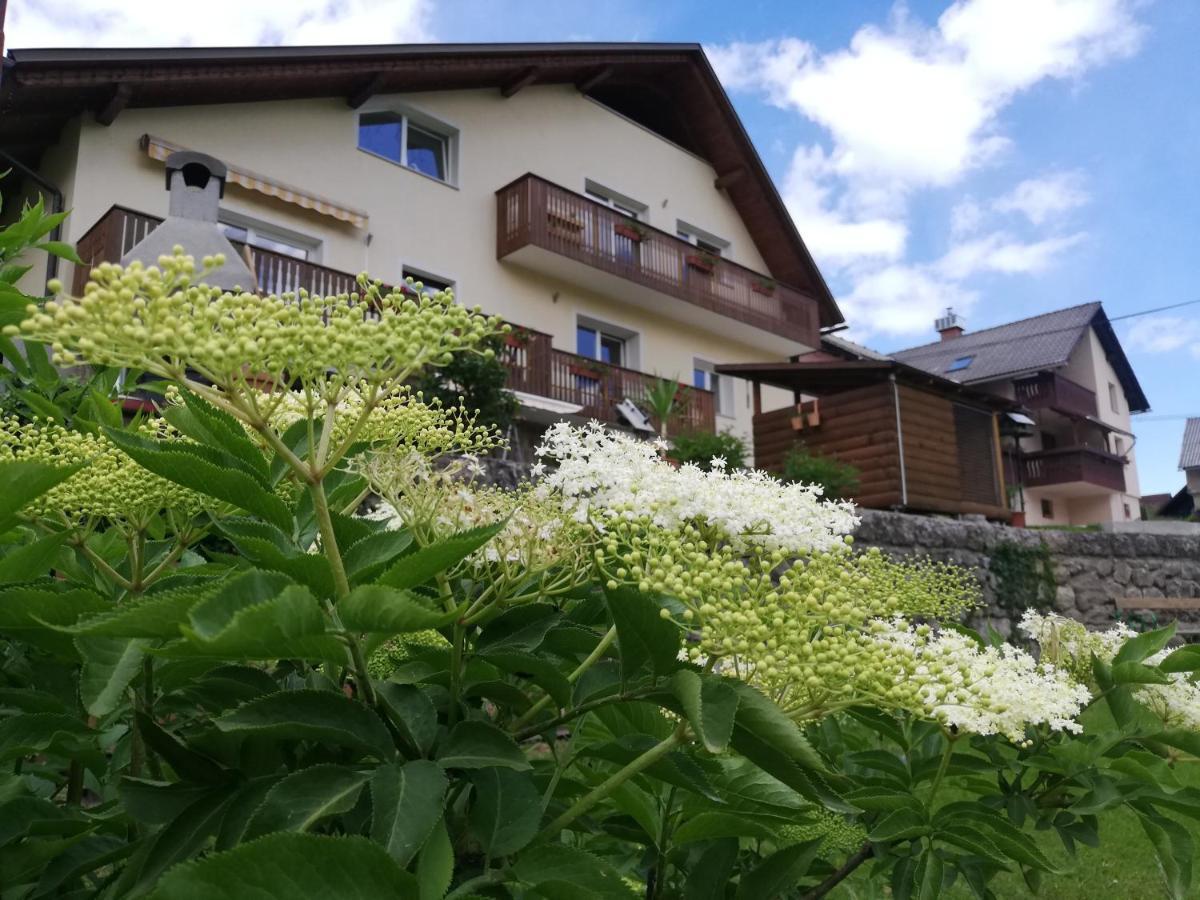 Apartments Mas Dovje ภายนอก รูปภาพ